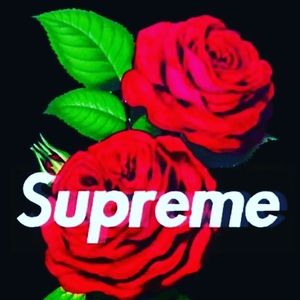 Meet your Posher, Junior